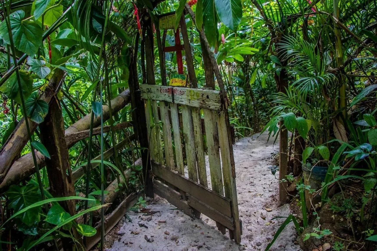 The Hamilton'S Nature Villa Clarks Town  جامايكا