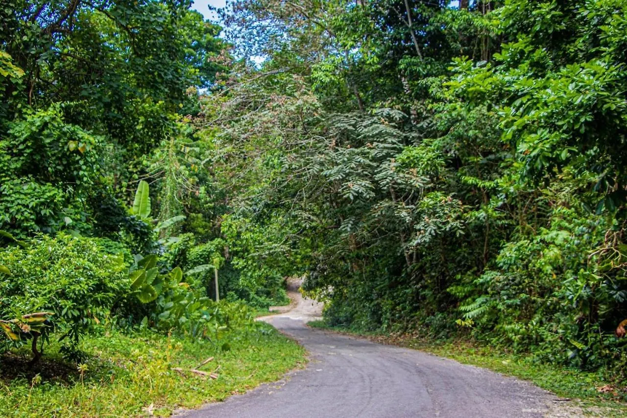 The Hamilton'S Nature Villa Clarks Town