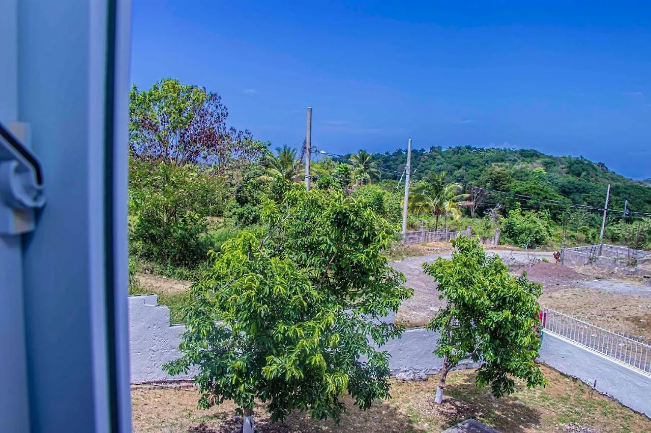 The Hamilton'S Nature Villa Clarks Town  جامايكا